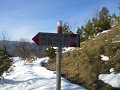 DSCN0157
