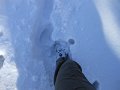 DSCN0169