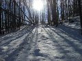 DSCN0173