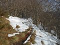 DSCN0178