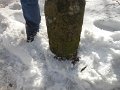 DSCN0185