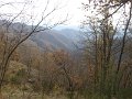 DSCN0203