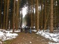 DSCN0208