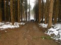 DSCN0210