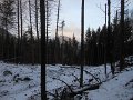 DSCN0211