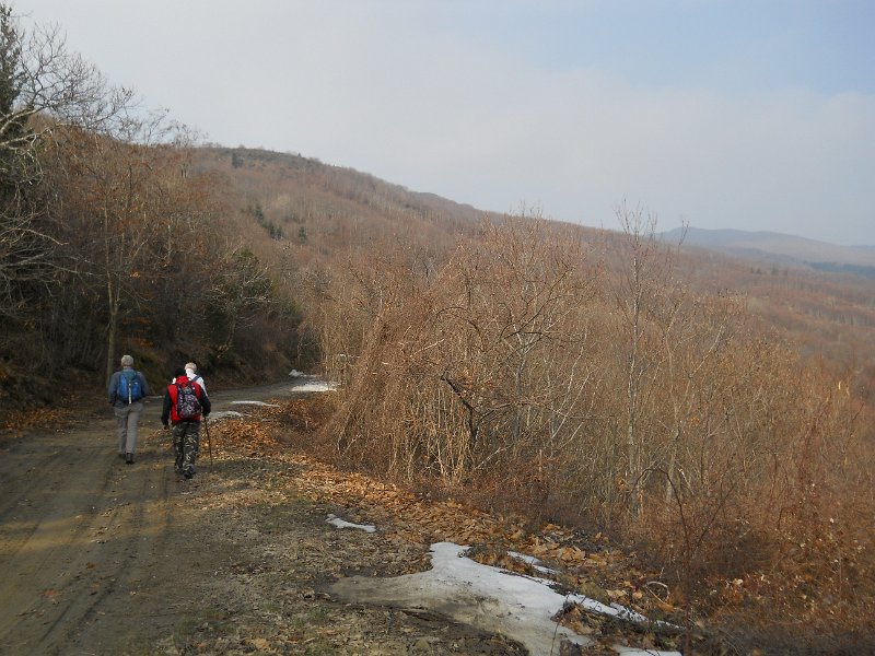 DSCN1203.JPG