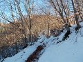 DSCN9088