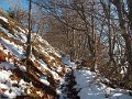 DSCN9091