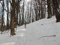 DSCN9122