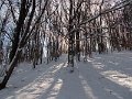 DSCN9129