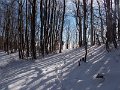 DSCN9130