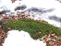 DSCN9143