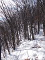 DSCN9153
