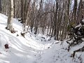 DSCN9164
