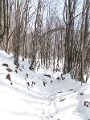 DSCN9165