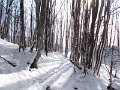 DSCN9166