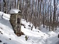 DSCN9167