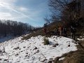 DSCN9181