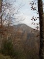 DSCN9221