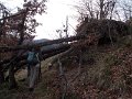 DSCN9224