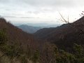 DSCN9231