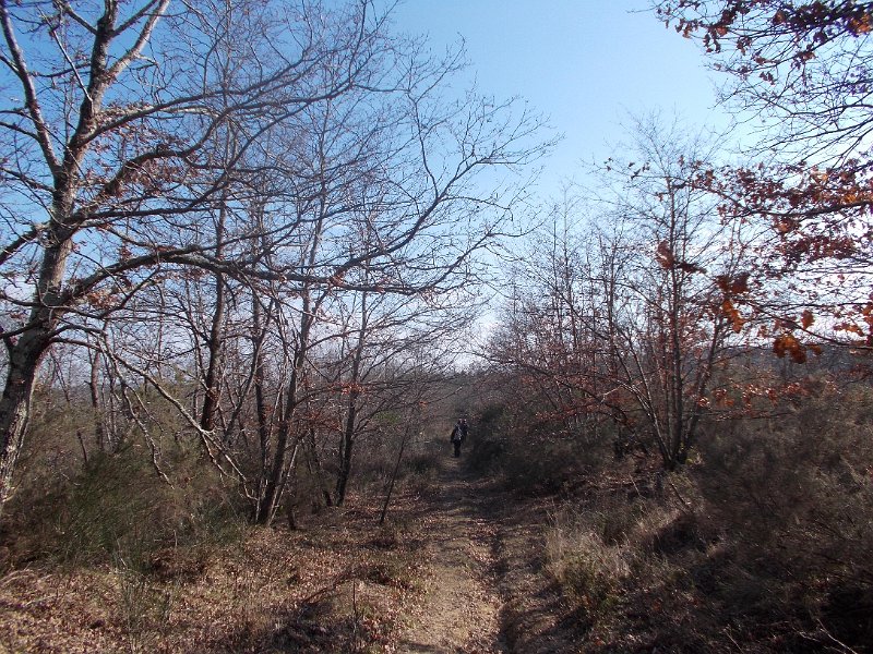 DSCN5229.JPG