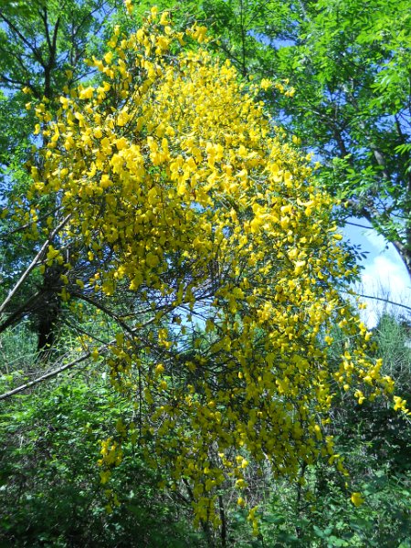 DSCN6514.JPG