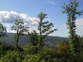 DSCN6508