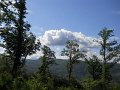DSCN6509