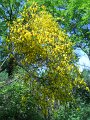 DSCN6514