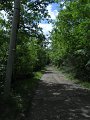 DSCN6527