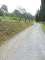 DSCN6533