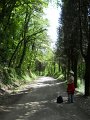 DSCN6544