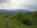 DSCN6554