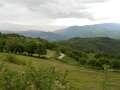 DSCN6566