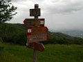 DSCN6567