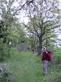 DSCN6570