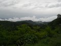 DSCN6586