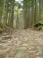 DSCN4327