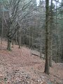 DSCN4357