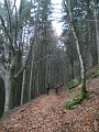 DSCN4358