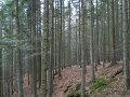 DSCN4366