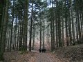 DSCN4367