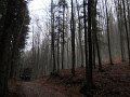 DSCN4368