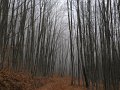 DSCN4378