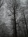 DSCN4379
