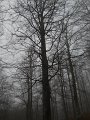 DSCN4380