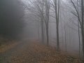 DSCN4381