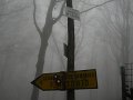 DSCN4385