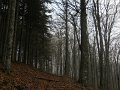 DSCN4395